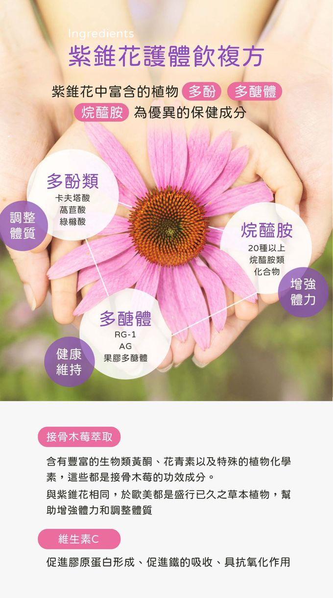 花賜康 - 紫錐花保康康護體飲-10瓶/盒-15ml