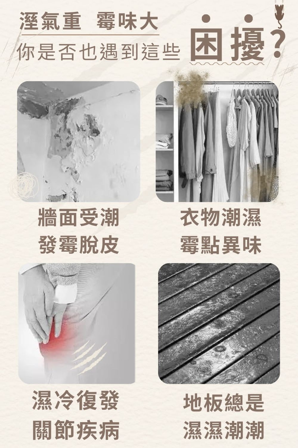 【防霉救星】抑濕小雨傘