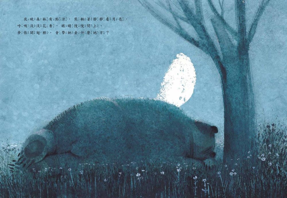 熊夢蝶　蝶夢熊 （雙封面設計+獨家書衣珍藏版）-精裝