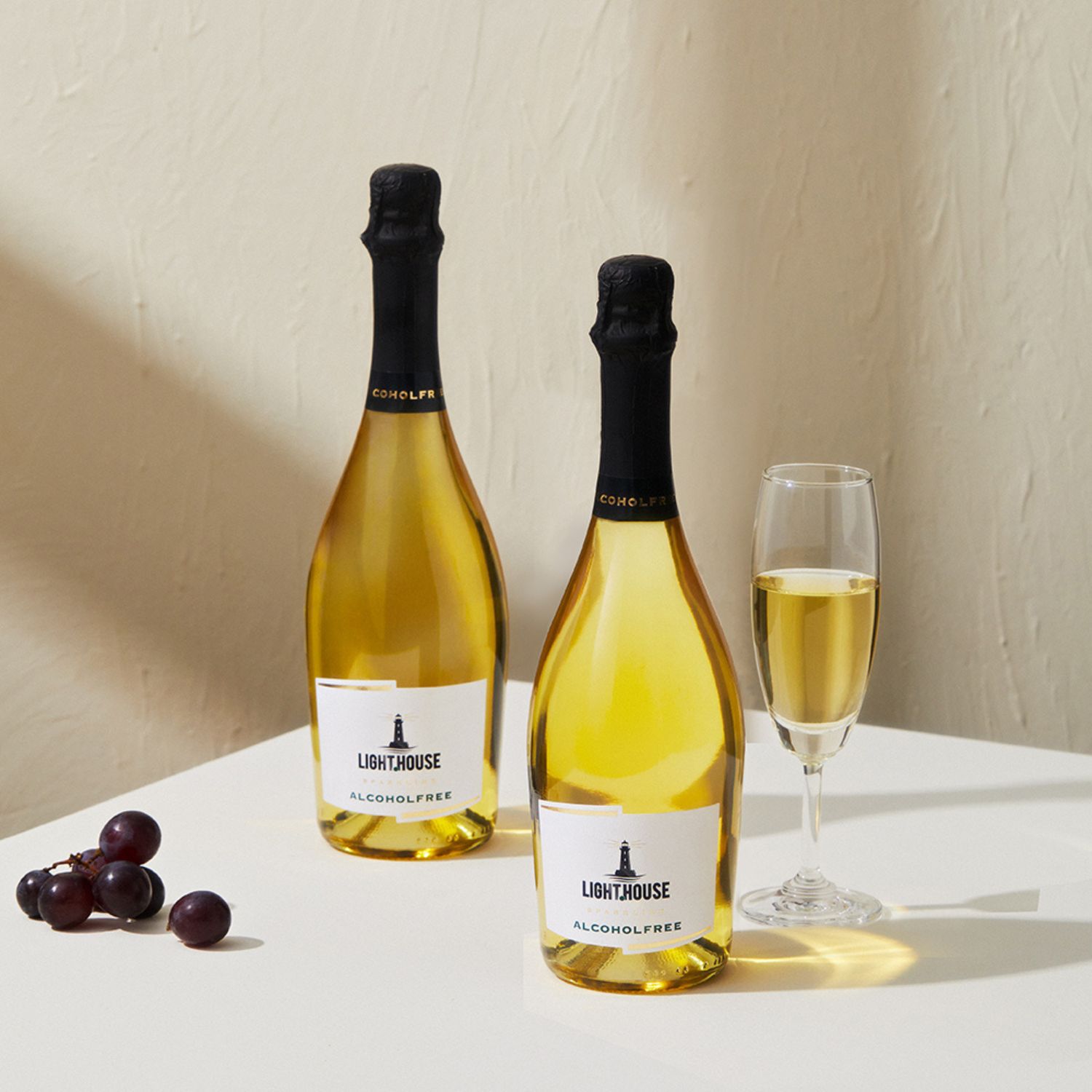 滿額贈好禮【Dripo】北海道紅茶牛乳/德國lighthouse氣泡飲