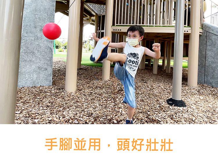 荷蘭BS - 門掛式健力球