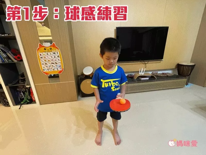 荷蘭BS - 行動桌球網