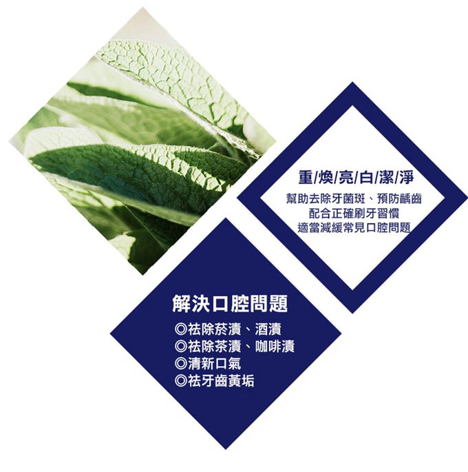 韓國2080 - 三重亮白修護牙膏-100gX2入組