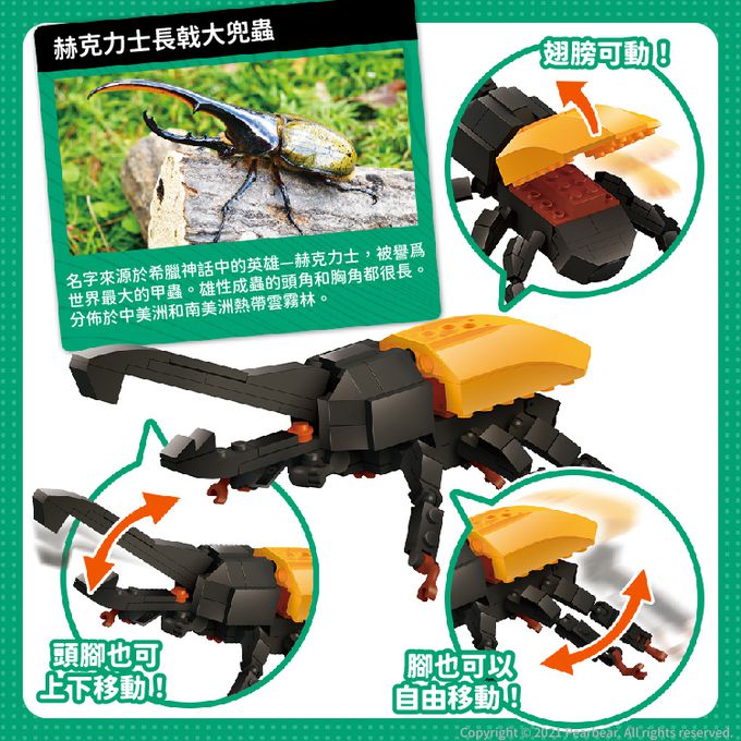 日本 Silverback - 可動擬真積木-赫克力士長戟大兜蟲