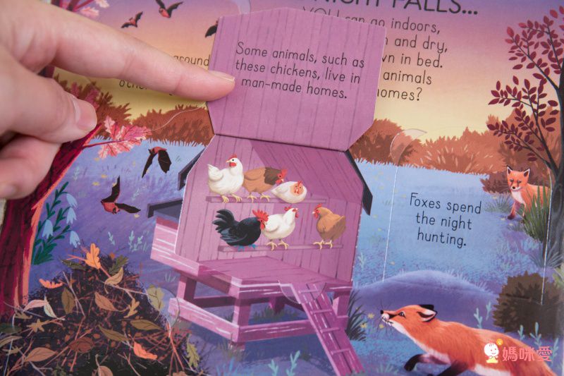 英國Miles Kelly、Usborne 看圖學英文 精美細緻畫風＋操作學英文