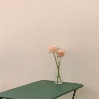 用戶頭像
