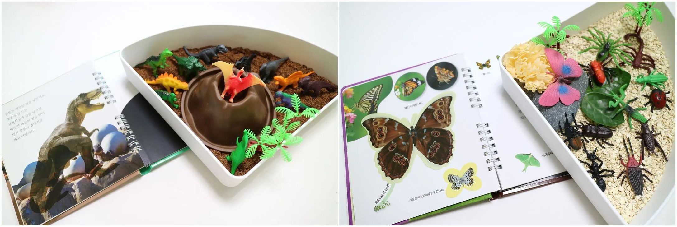 超激推5in1感官盆【韓國POKI趣玩盆】啟發創意力