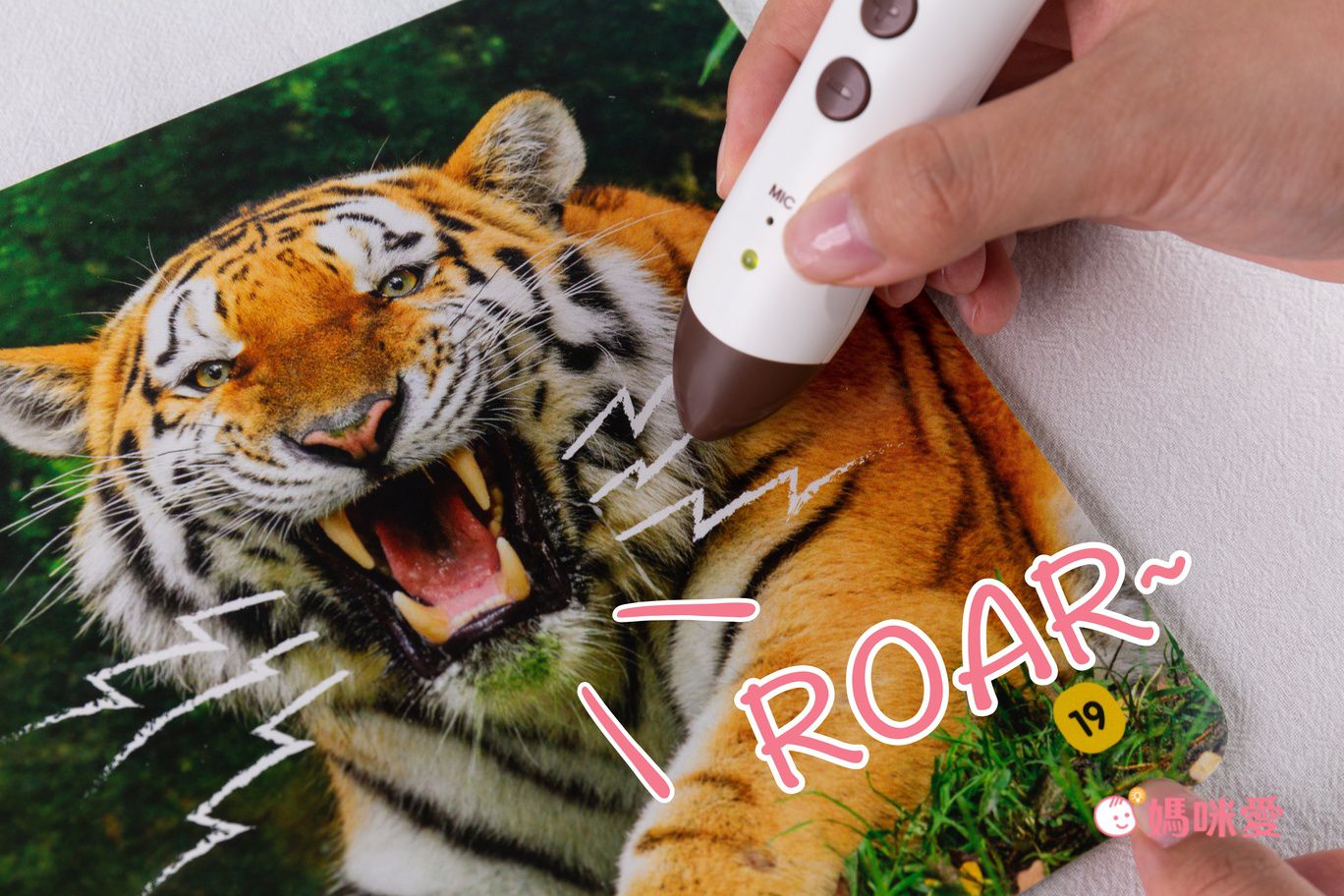 平台首賣【KIDsREAD × 國家地理頻道】全英文科普點讀套書