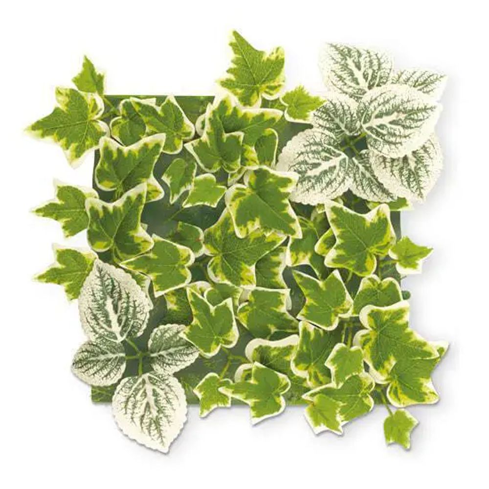 日本 KISHIMA - CT觸媒 消臭仿真植物牆面綠化片-拼貼式-淺綠 (35x32x3.5cm)