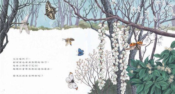 獨角仙在哪裡？