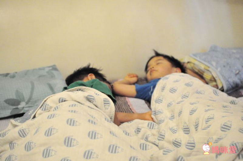 日本 Fuwara - 日本製三河木棉六重紗蓋毯-彩色蘑菇 (70x100cm)