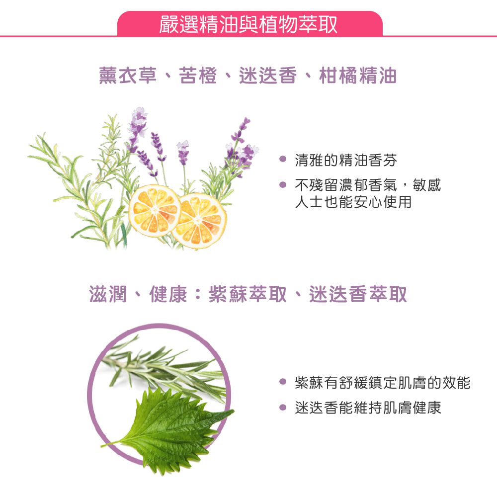 日本 SARAYA - arau.愛樂寶 純質粹溫和洗手慕斯補充包-500ml