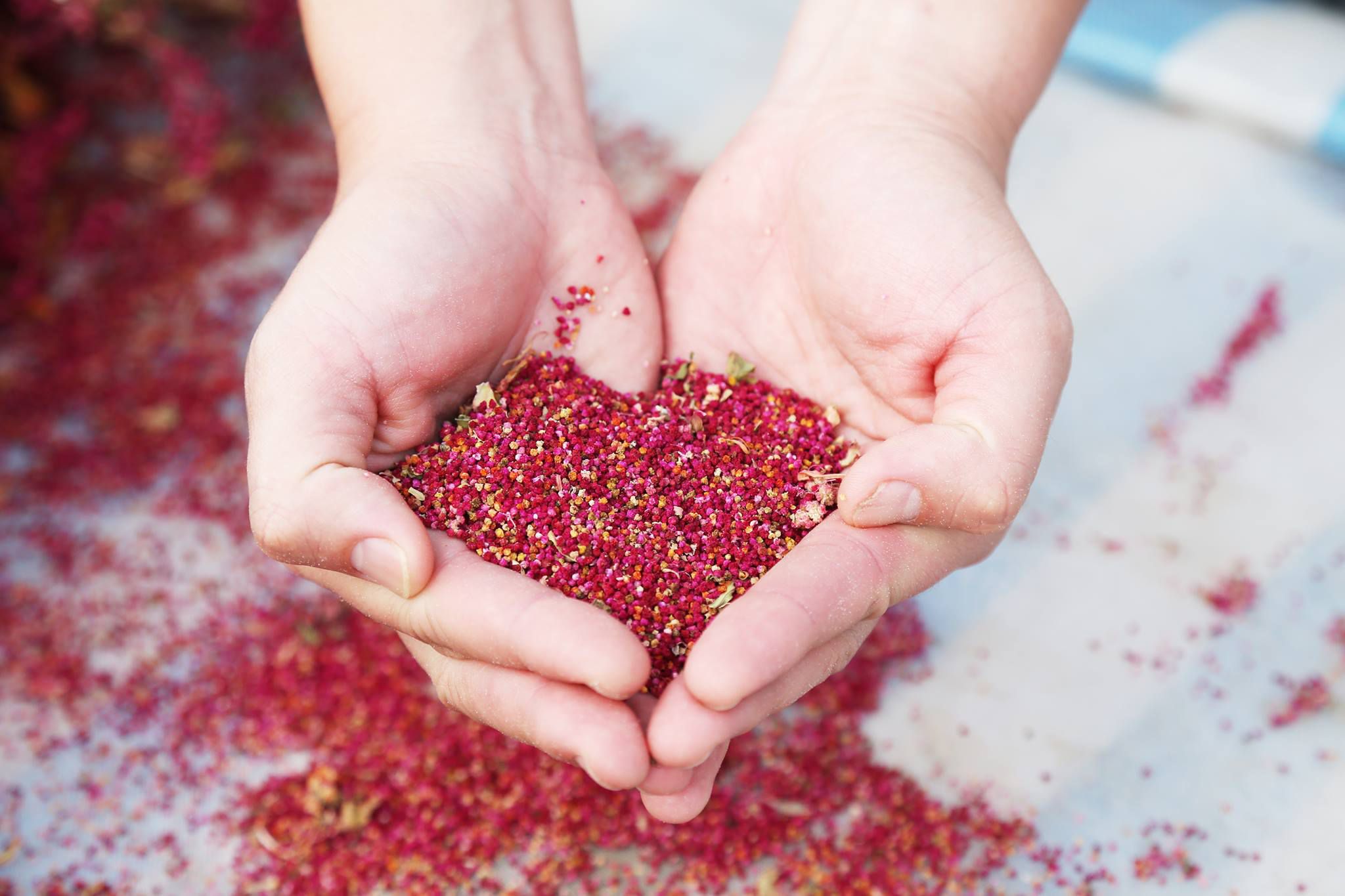 膳食纖維是地瓜的6倍！【信豐農場】台灣紅藜波浪麵＆紅藜拌醬