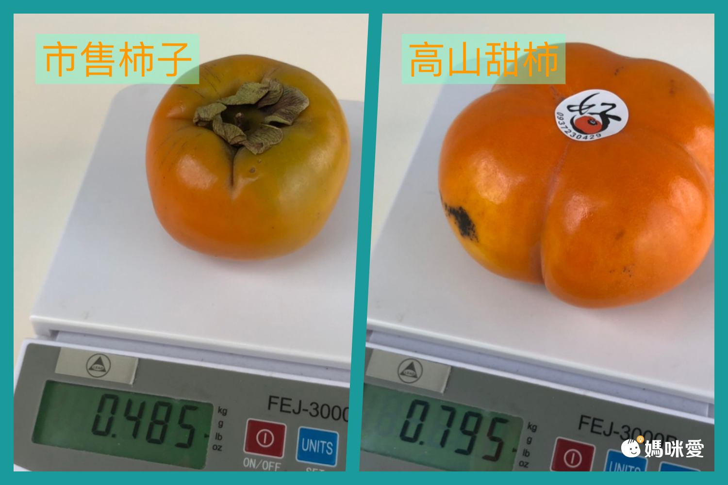 免運送到家！【好柿到】比手掌還大的10A特級高山甜柿❤