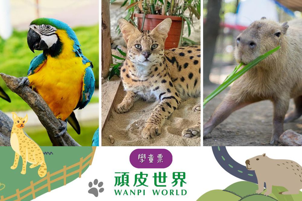 台南-頑皮世界野生動物園| 學童票