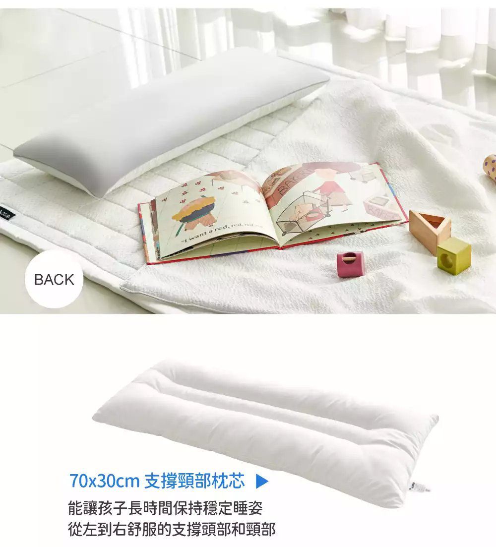 韓國 Hello HiZoo - 3D Aqua Mesh涼感加寬抗菌防蟎雙面枕 (30x70cm)