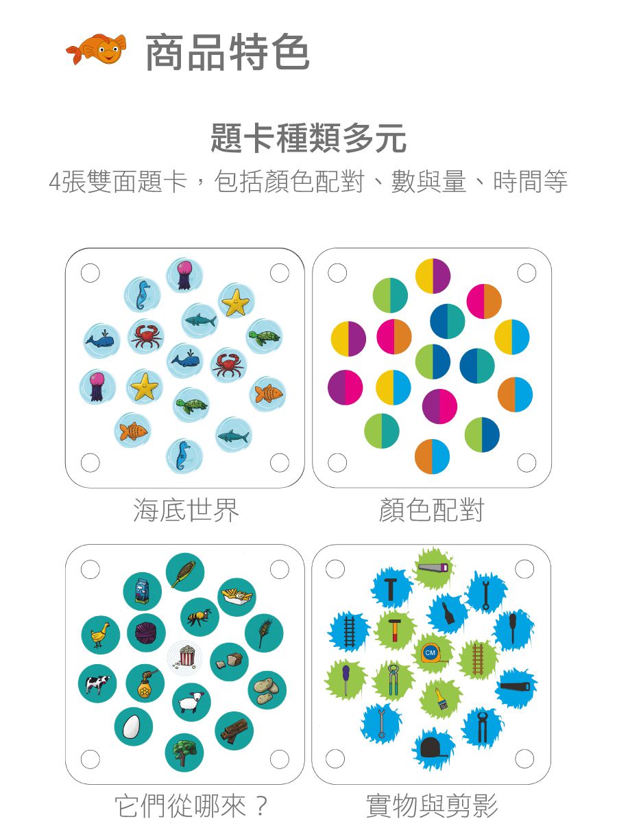 荷蘭BS - 記憶魚大考驗