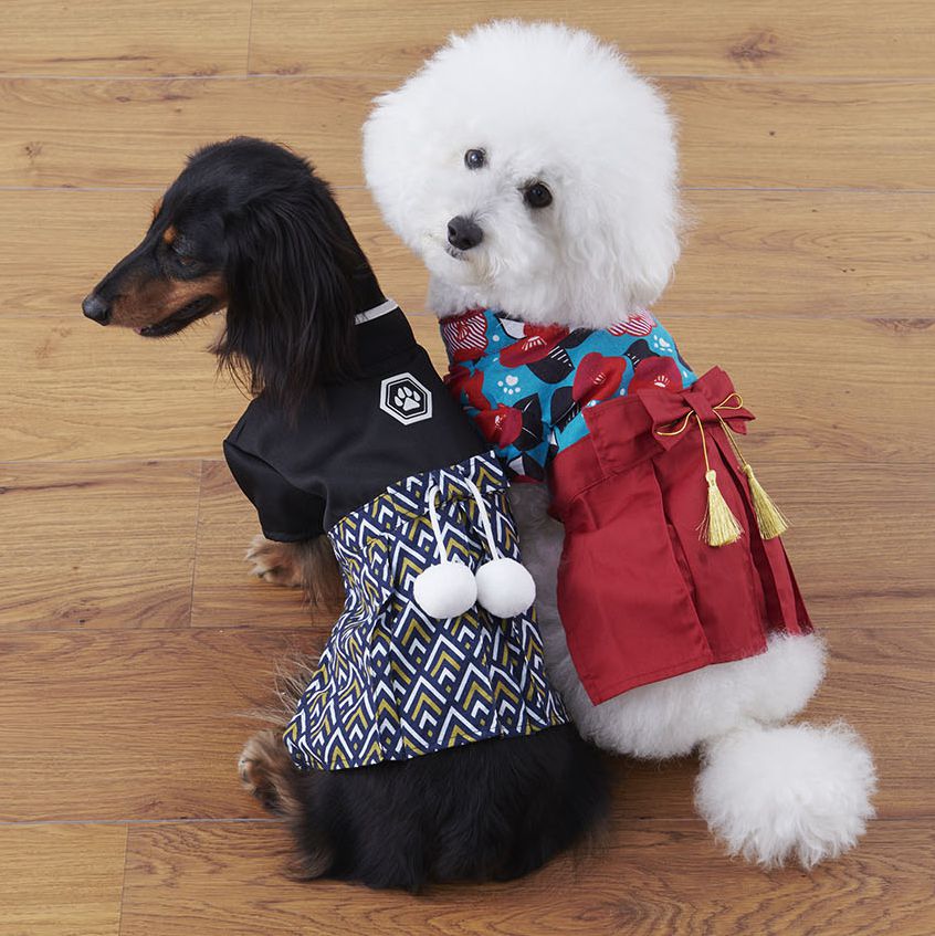 日本代購 - 麻花編織寵物帽/寵物頭套-酒紅 (M)