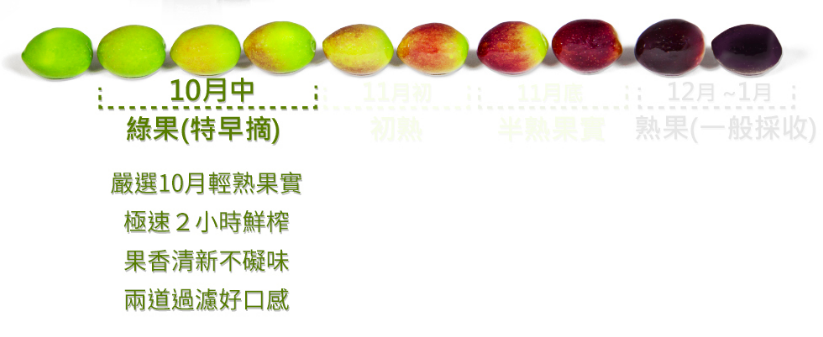 西班牙王室指定【皇嘉】冷壓初榨橄欖油－任選3件再95折！