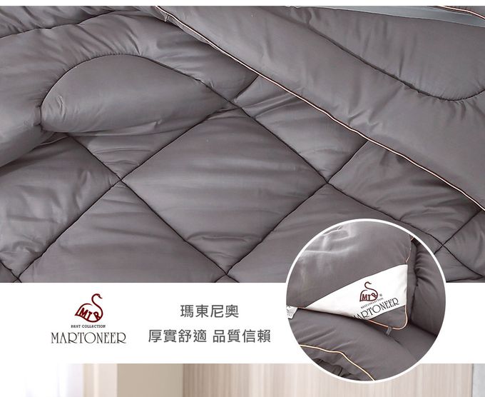 鴻宇 HongYew - 石墨烯能量冬被 熱導科技 保暖 保健 健康被-雙人6x7