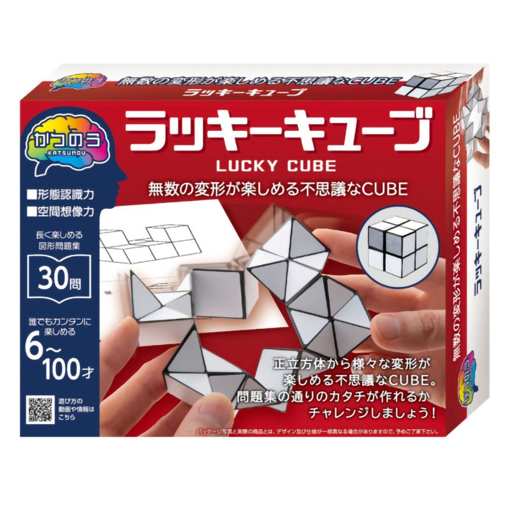 日本 HANAYAMA - 腦力開發系列-百變立方體-6歲以上