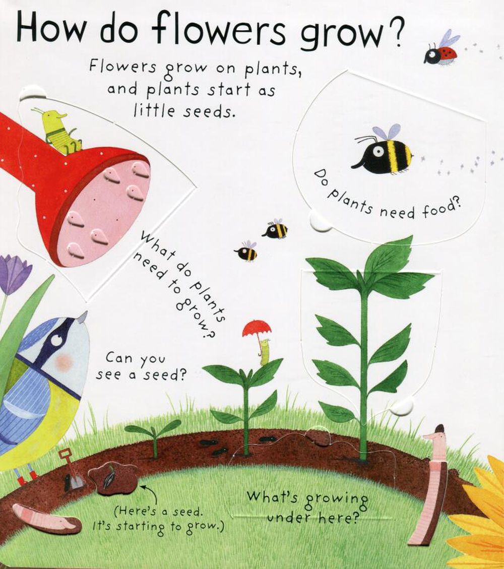 Lift-the-Flap First Questions & Answers: How do flowers grow ? 花的生長秘密（翻翻書）