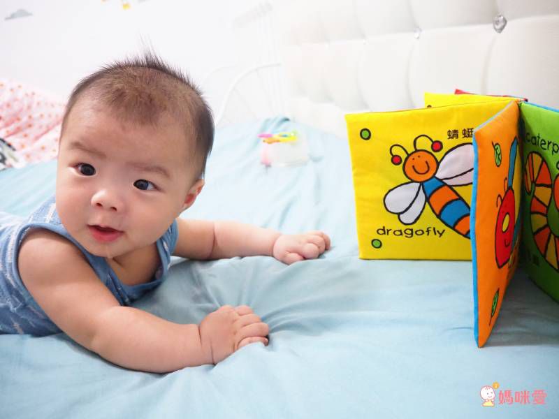 小瓢蟲中英雙語系列 ★啟蒙認知五書組★ 0歲開始看，依寶寶視覺發展階段設計！