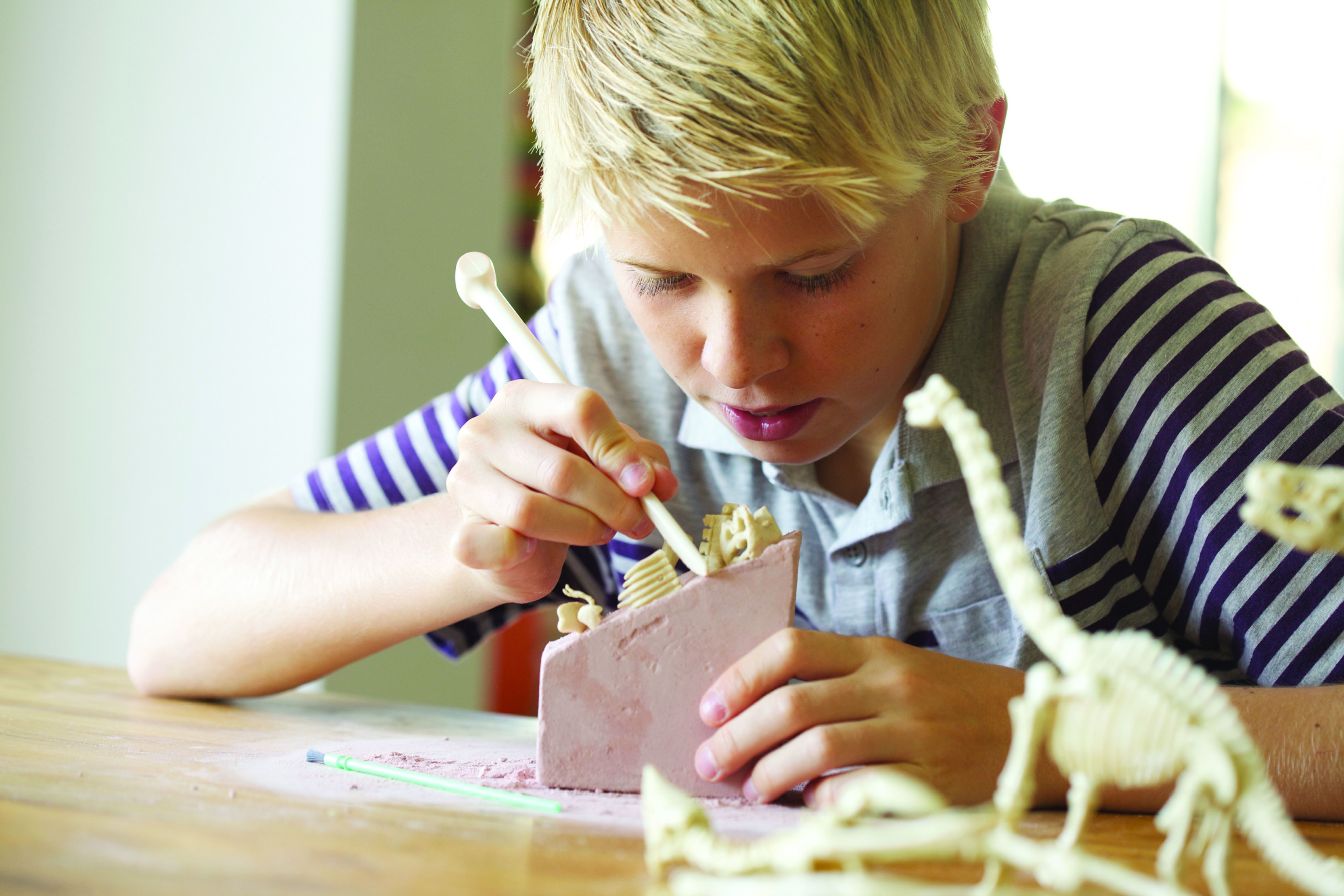 挖掘恐龍遺跡！【4M】考古DIY，操作時間2hrs起跳！