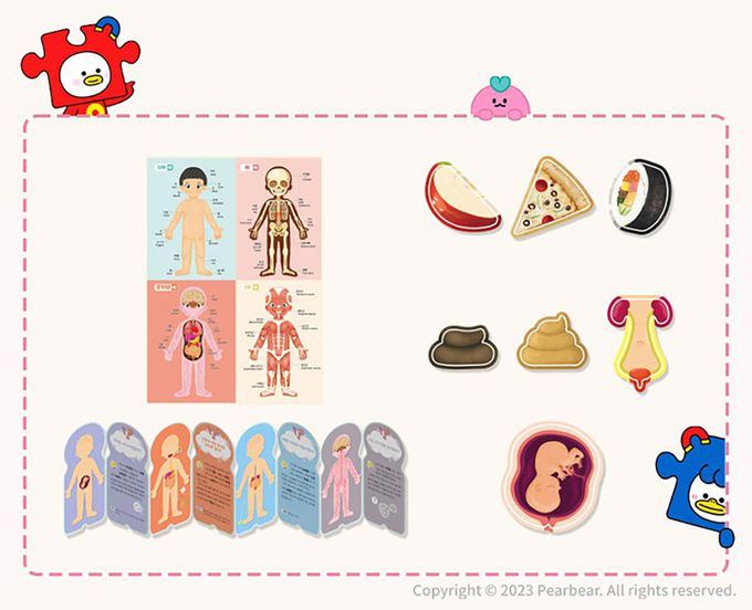 韓國 Ariati - 磁性遊戲板-人體認知