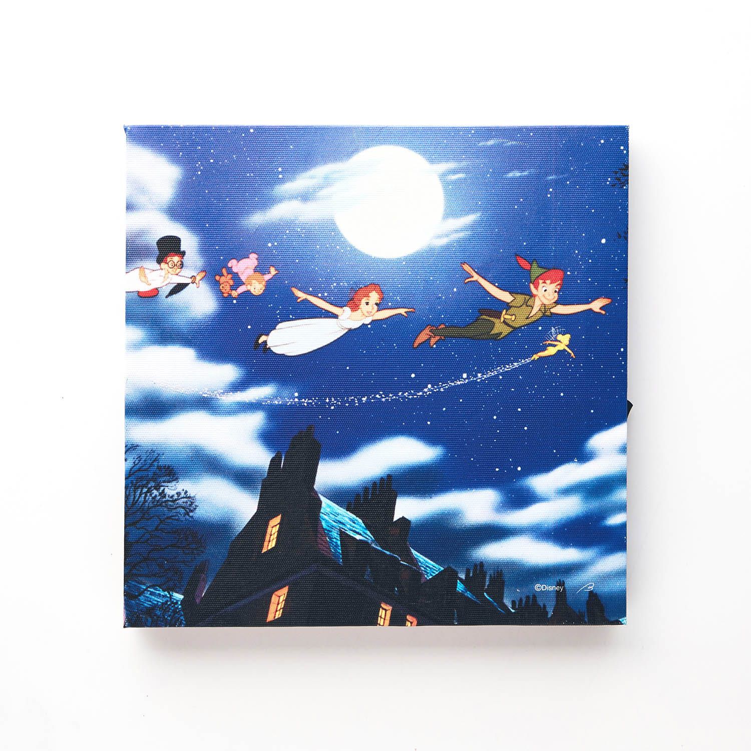 日本千趣會 - 迪士尼 藝術風印花掛畫帆布燈-維尼與好朋友們