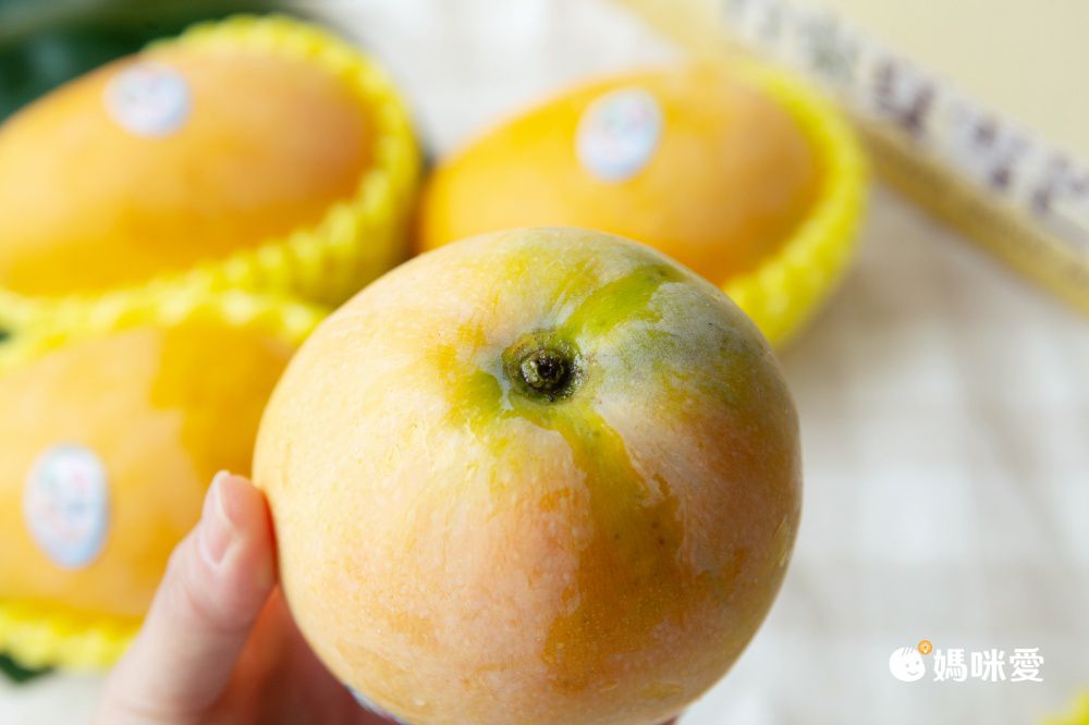 【台東 夏雪芒果】精品外銷等級，芒果界的LV！