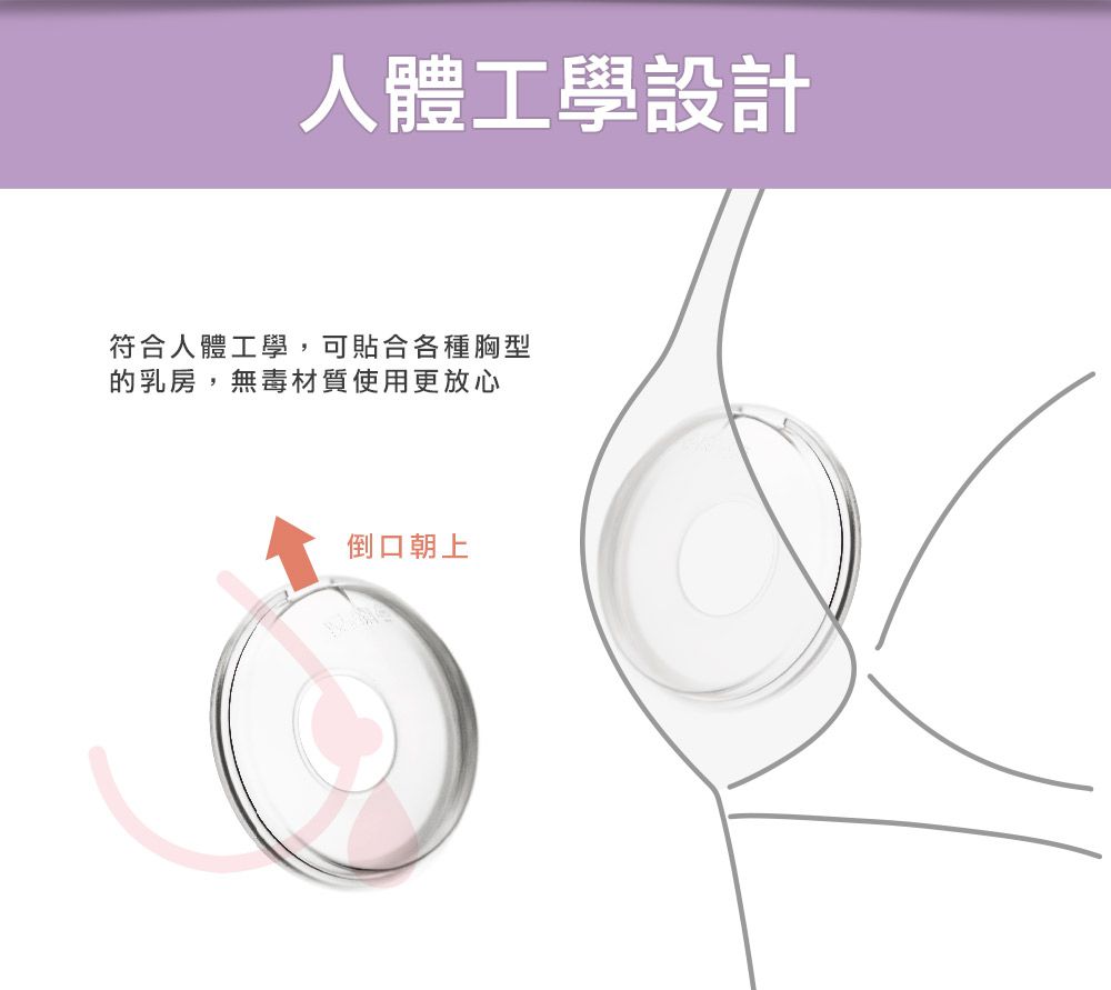 韓國 BAILEY 貝睿 - 授乳用品-三合一矽膠儲乳罩-2入