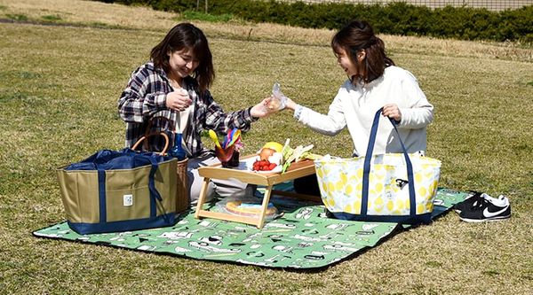 ✿ CP值爆棚！日本平價質感野餐墊＆保冷袋～ ✿