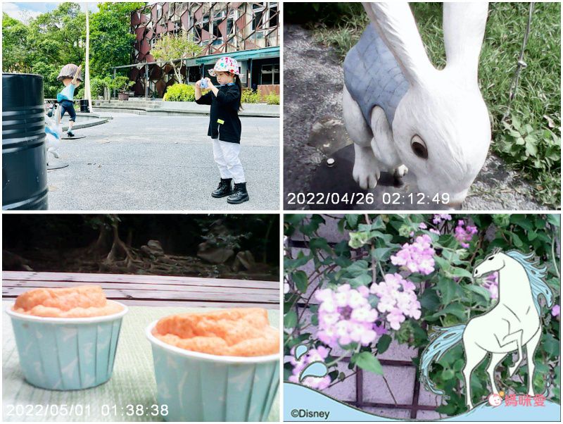 Hong Man - 迪士尼系列兒童數位照相機-冰雪奇緣