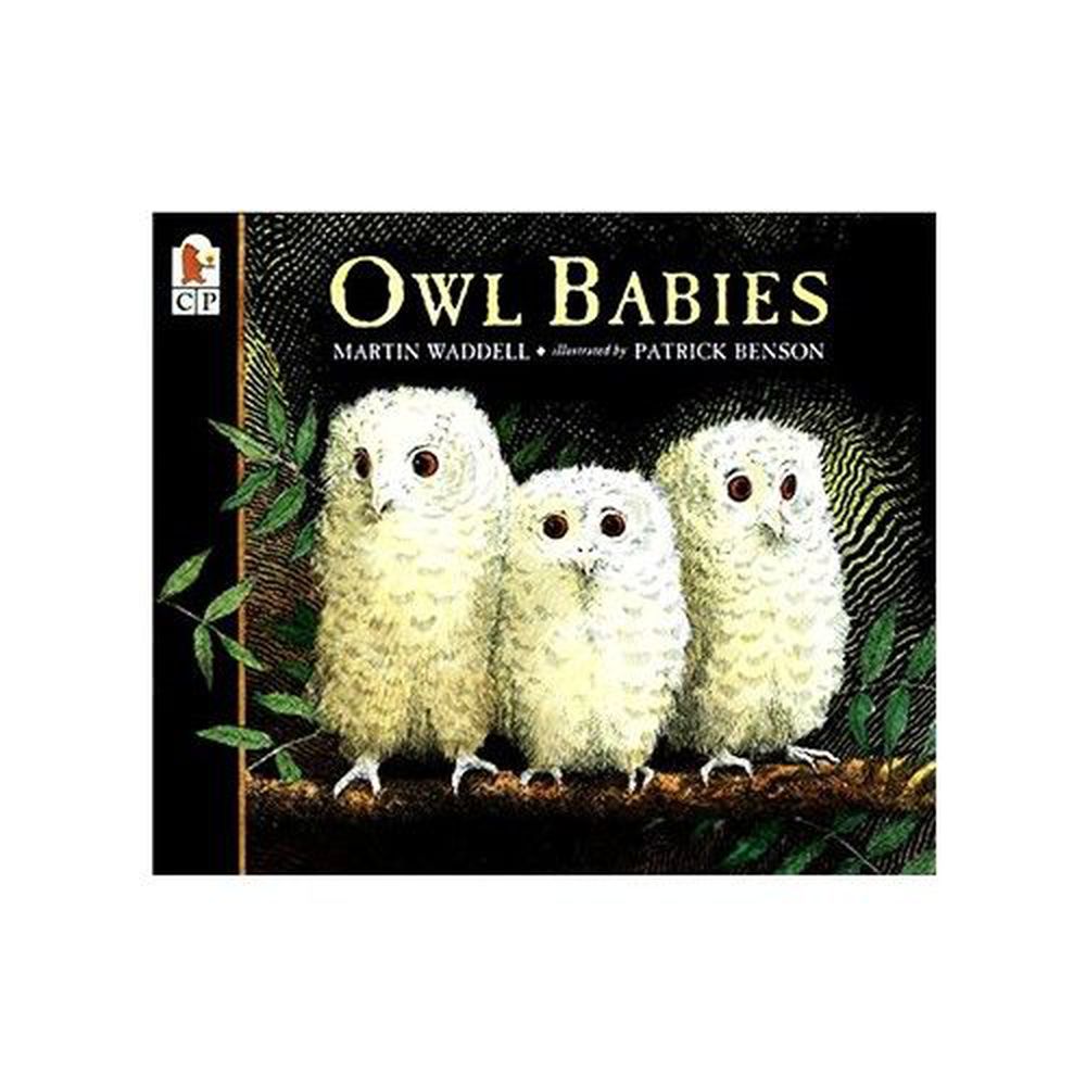 麥克兒童外文書店 - 廖彩杏老師有聲書-OWL BABIES /書+CD