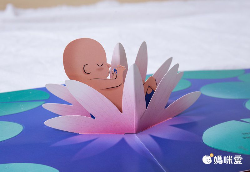 你在媽媽肚子裡的樣子―1：1真實比例小寶寶立體書（立體封面典藏版）