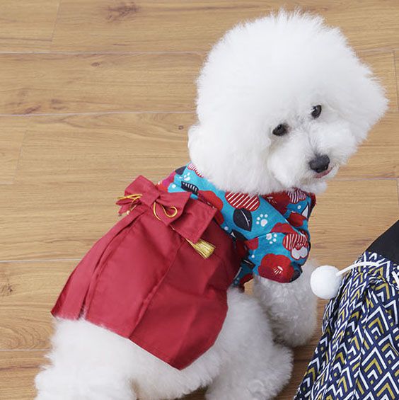 日本代購 - 日本新年和風寵物服/寵物和服-幾何紋-黑 (M)