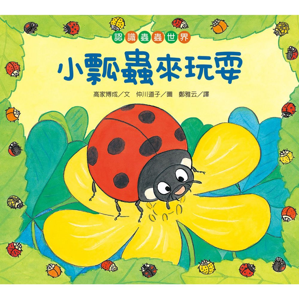 【認識蟲蟲世界】-小瓢蟲來玩耍