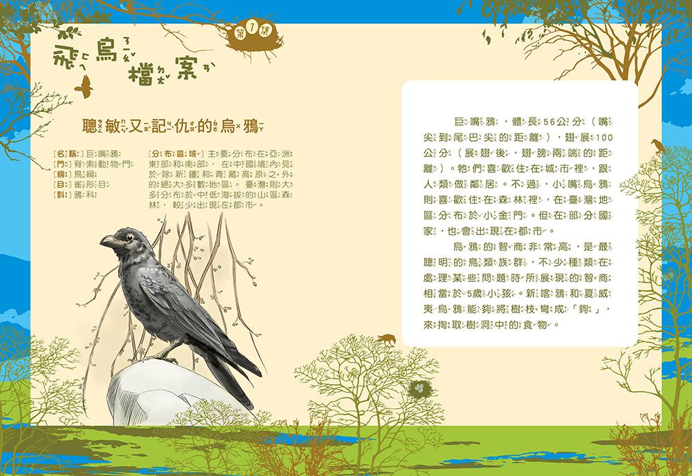 【神奇圖書館】天空歷險記(1)校長變企鵝（中高年級知識讀本）