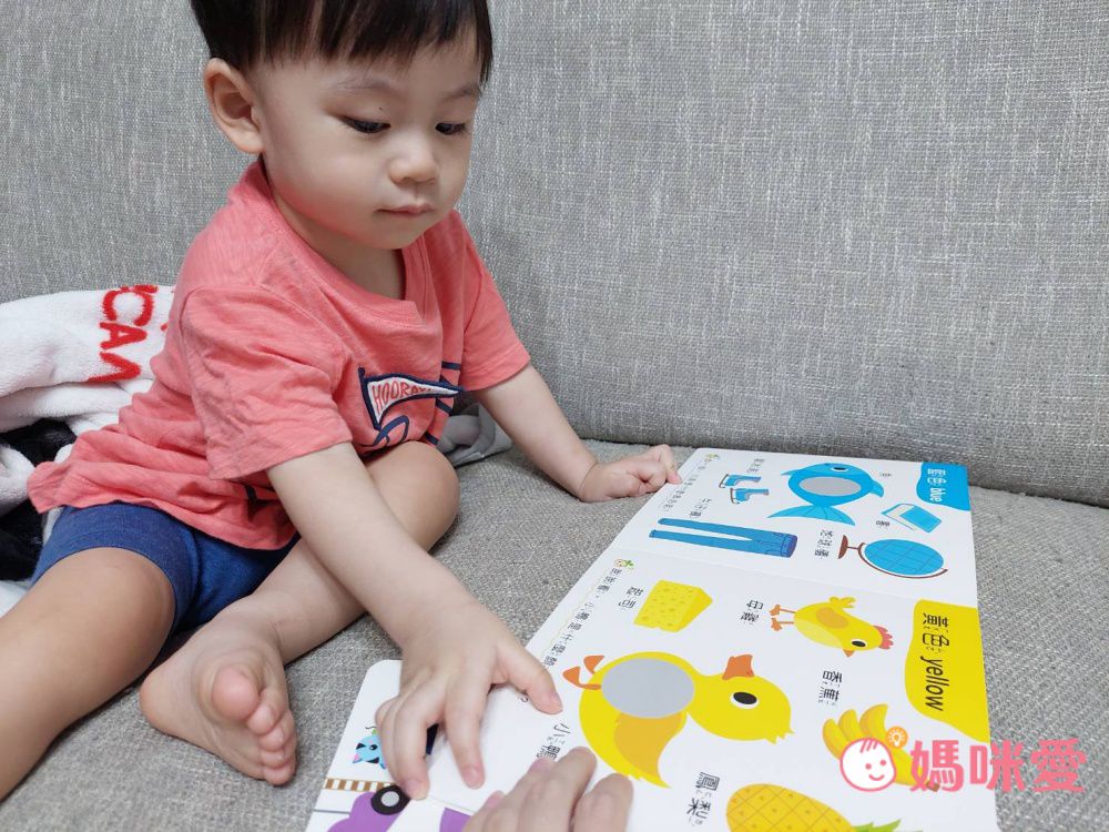 形狀嵌入學習書