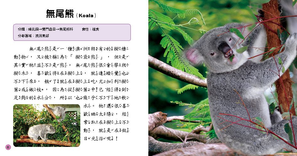 小百科圖鑑：動物小百科-精裝