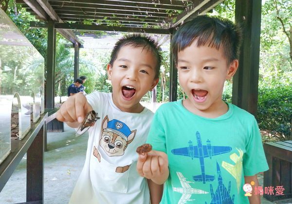 【生活自理】把飯吃光光＋刷牙小小兵＋五感套書＋字母積木書