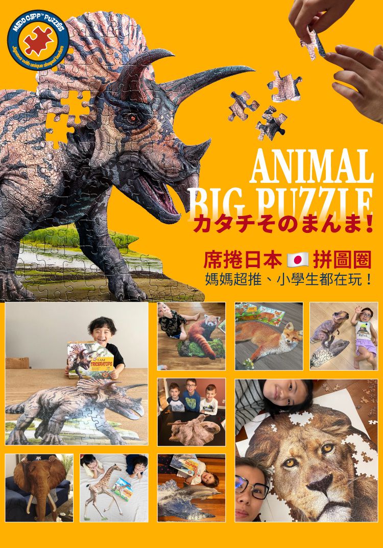 Madd Capp - I AM 動物拼圖-100,我是三角龍