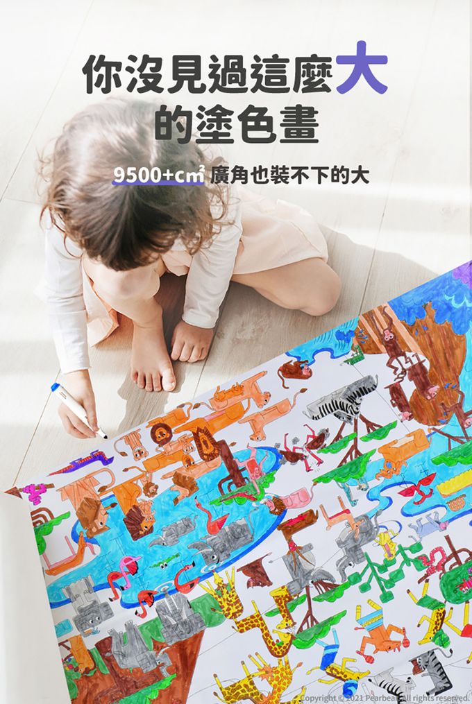 MiDeer - 世界塗色畫紙-北美洲