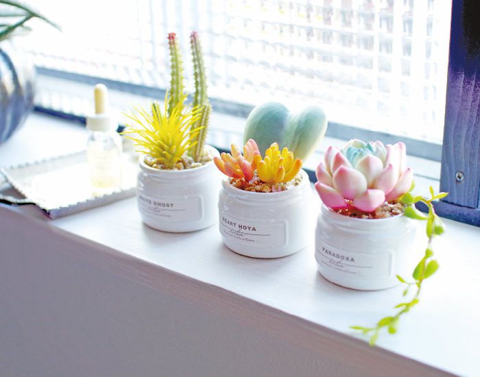 日本 KISHIMA - CT觸媒 消臭仿真多肉盆栽迷你三入組-KH-61190