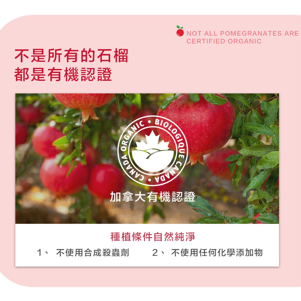 【即期良品】有機石榴原汁 (350mlx3瓶入) 效期：2025/08/08 (三瓶入/組)