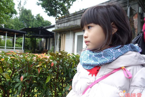 英國 redurchin 有機棉脖圍 / 帽圍 / 披肩