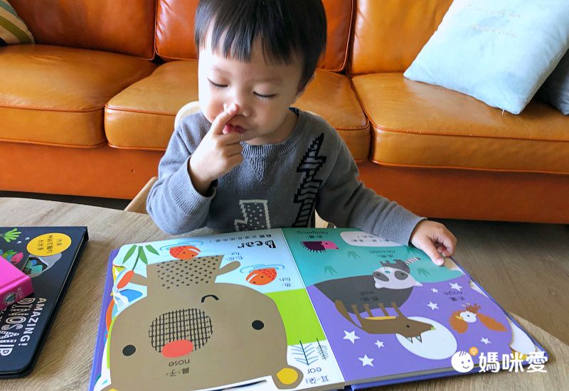 禾流文創 - Amazing!變形認知書 3本一套-變形恐龍認知書+變形動物認知書+變形魔法認知書