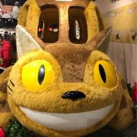 用戶頭像