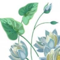 用戶頭像
